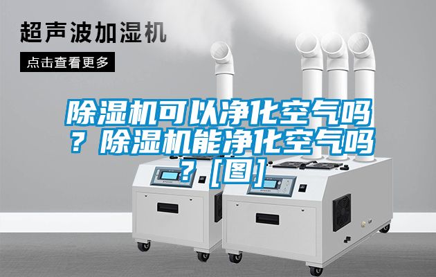 除濕機(jī)可以凈化空氣嗎？除濕機(jī)能凈化空氣嗎？[圖]