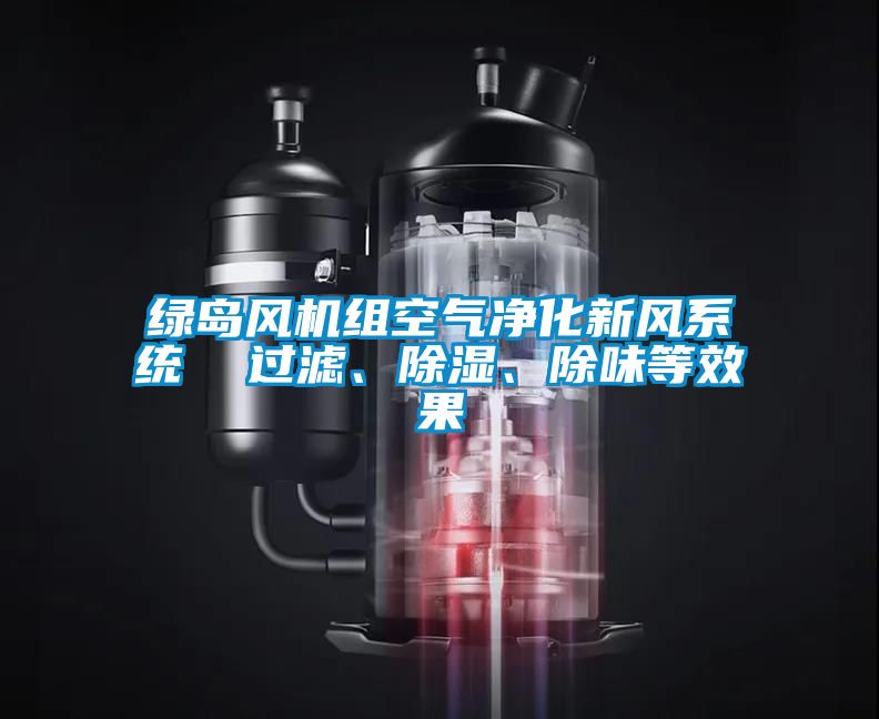 綠島風(fēng)機(jī)組空氣凈化新風(fēng)系統(tǒng)  過(guò)濾、除濕、除味等效果