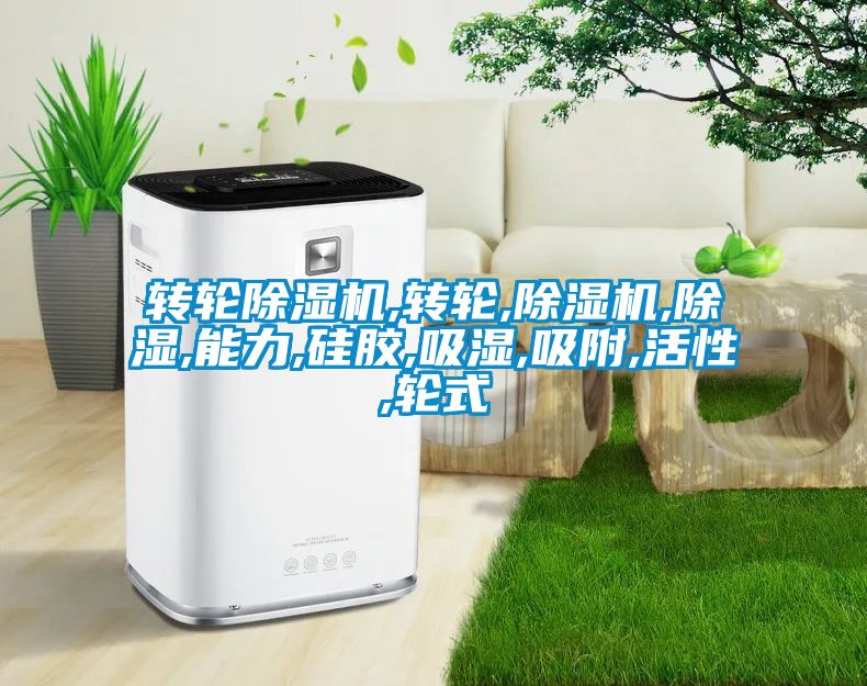 轉(zhuǎn)輪除濕機,轉(zhuǎn)輪,除濕機,除濕,能力,硅膠,吸濕,吸附,活性,輪式