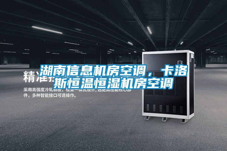 湖南信息機(jī)房空調(diào)，卡洛斯恒溫恒濕機(jī)房空調(diào)