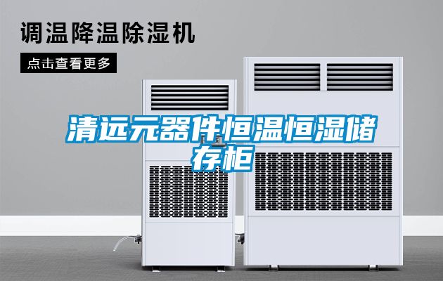 清遠(yuǎn)元器件恒溫恒濕儲(chǔ)存柜