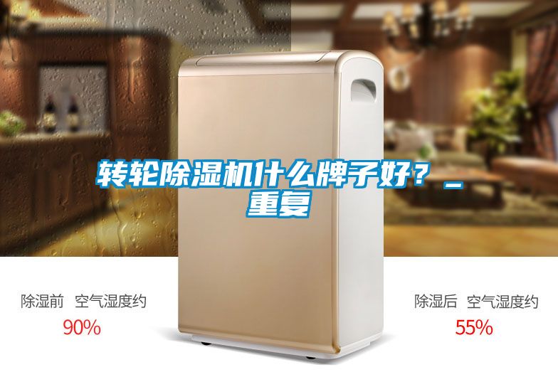 轉(zhuǎn)輪除濕機(jī)什么牌子好？_重復(fù)