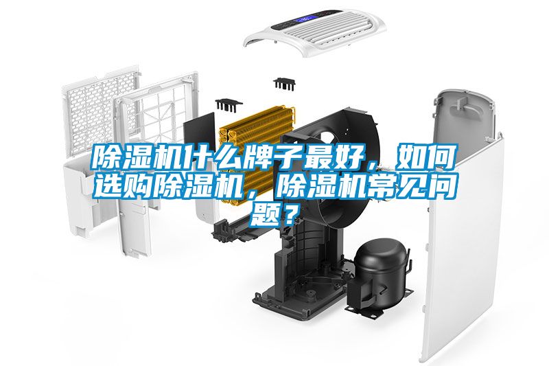 除濕機(jī)什么牌子最好，如何選購(gòu)除濕機(jī)，除濕機(jī)常見(jiàn)問(wèn)題？