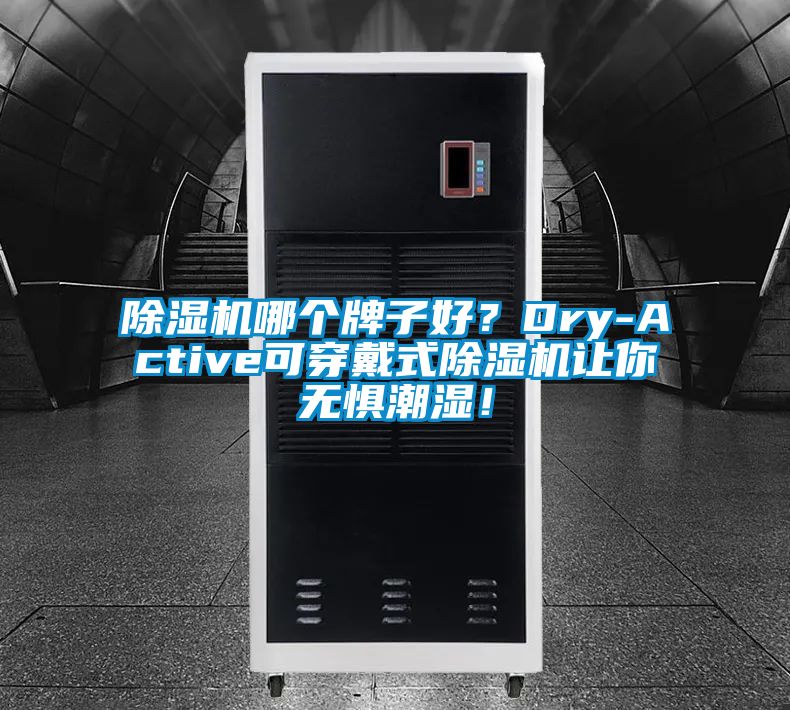 除濕機(jī)哪個(gè)牌子好？Dry-Active可穿戴式除濕機(jī)讓你無(wú)懼潮濕！
