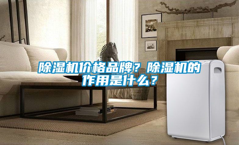 除濕機價格品牌？除濕機的作用是什么？
