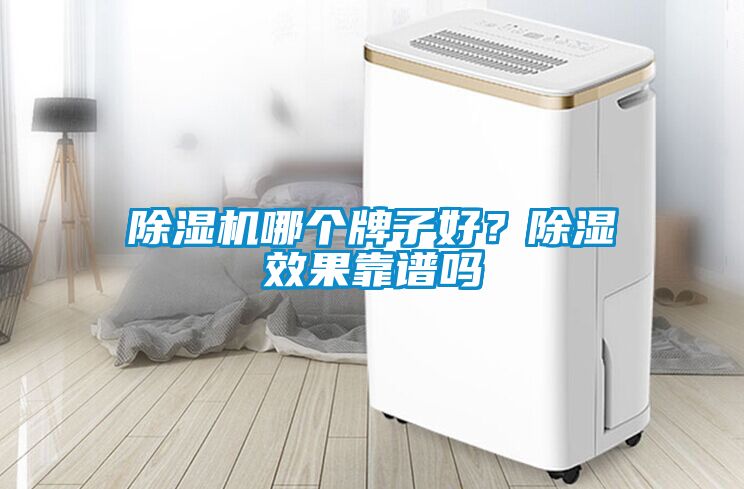 除濕機(jī)哪個(gè)牌子好？除濕效果靠譜嗎