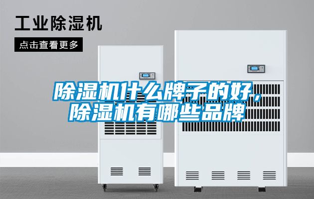 除濕機什么牌子的好，除濕機有哪些品牌