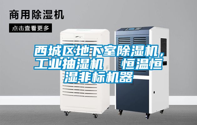 西城區(qū)地下室除濕機，工業(yè)抽濕機  恒溫恒濕非標機器