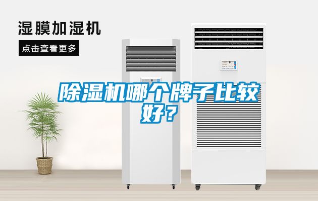 除濕機(jī)哪個(gè)牌子比較好？