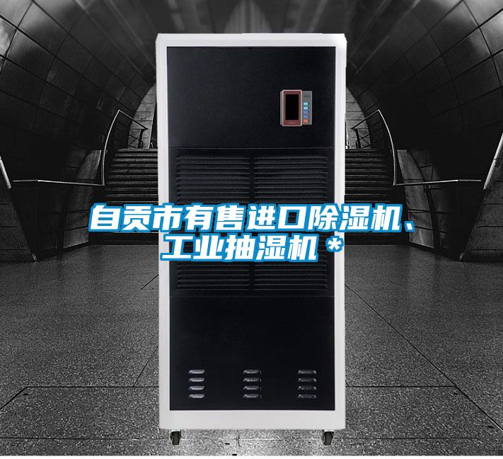 自貢市有售進(jìn)口除濕機(jī)、工業(yè)抽濕機(jī)＊