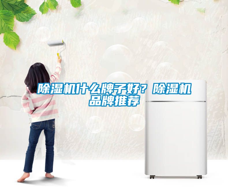 除濕機(jī)什么牌子好？除濕機(jī)品牌推薦
