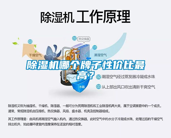 除濕機(jī)哪個(gè)牌子性價(jià)比最高？
