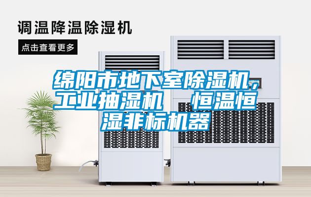 綿陽市地下室除濕機，工業(yè)抽濕機  恒溫恒濕非標(biāo)機器
