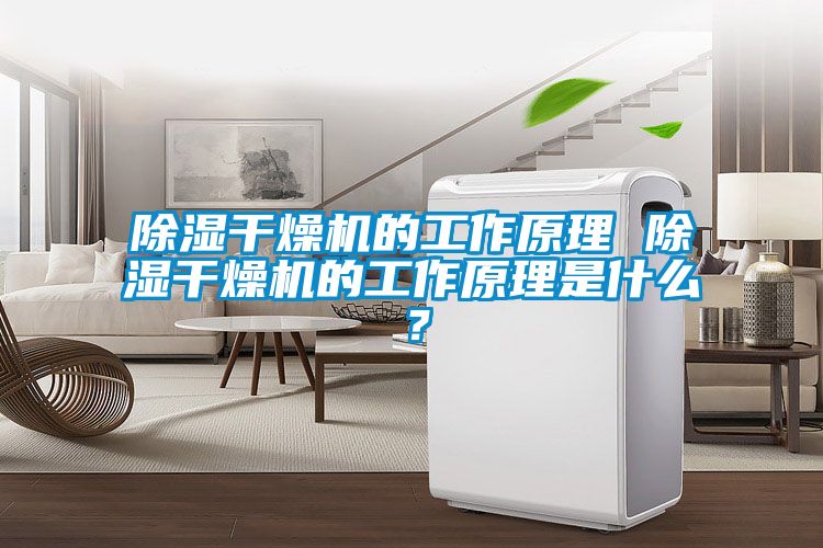 除濕干燥機(jī)的工作原理 除濕干燥機(jī)的工作原理是什么？