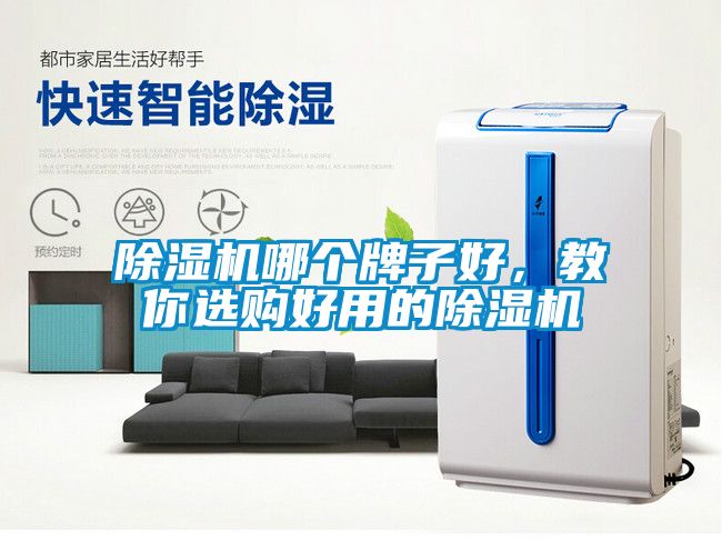 除濕機(jī)哪個(gè)牌子好，教你選購(gòu)好用的除濕機(jī)