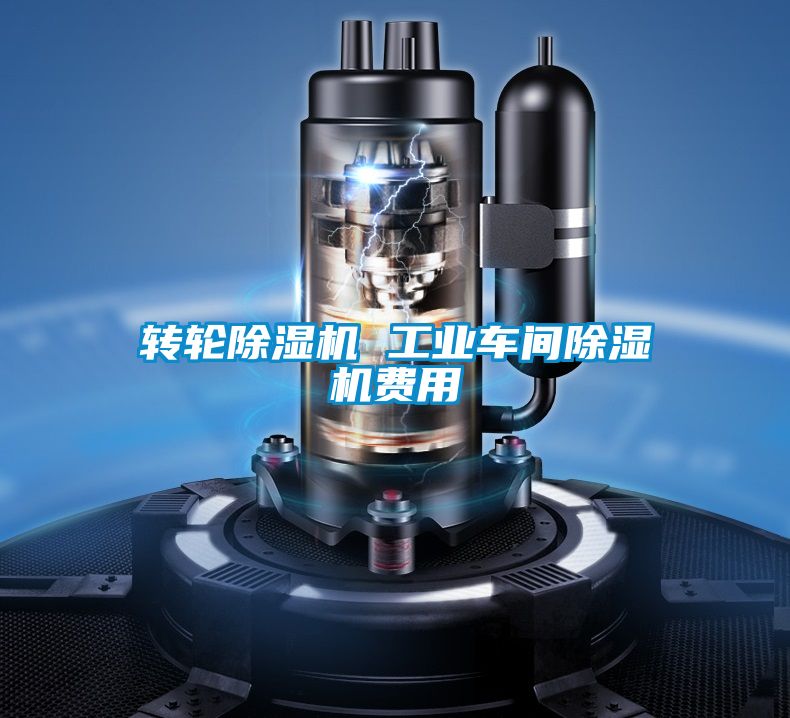 轉(zhuǎn)輪除濕機(jī) 工業(yè)車間除濕機(jī)費用