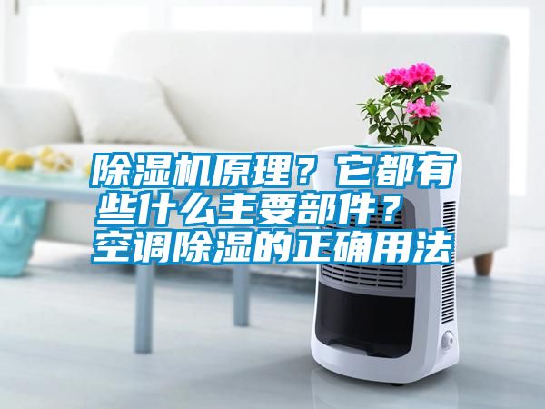 除濕機(jī)原理？它都有些什么主要部件？ 空調(diào)除濕的正確用法