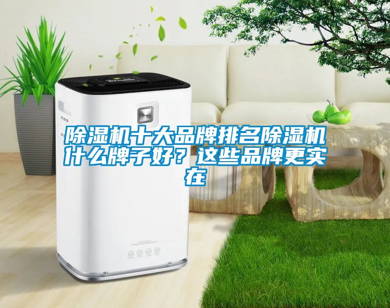 除濕機(jī)十大品牌排名除濕機(jī)什么牌子好？這些品牌更實(shí)在