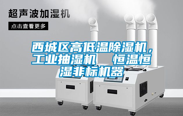 西城區(qū)高低溫除濕機(jī)，工業(yè)抽濕機(jī)  恒溫恒濕非標(biāo)機(jī)器