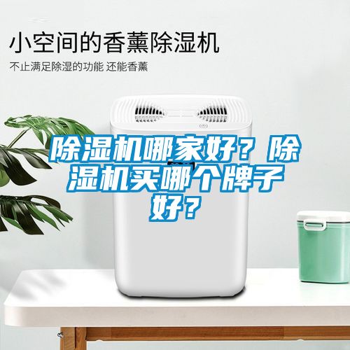 除濕機(jī)哪家好？除濕機(jī)買哪個牌子好？