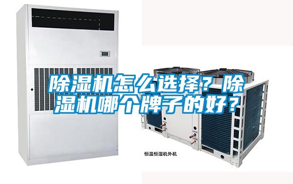 除濕機(jī)怎么選擇？除濕機(jī)哪個牌子的好？