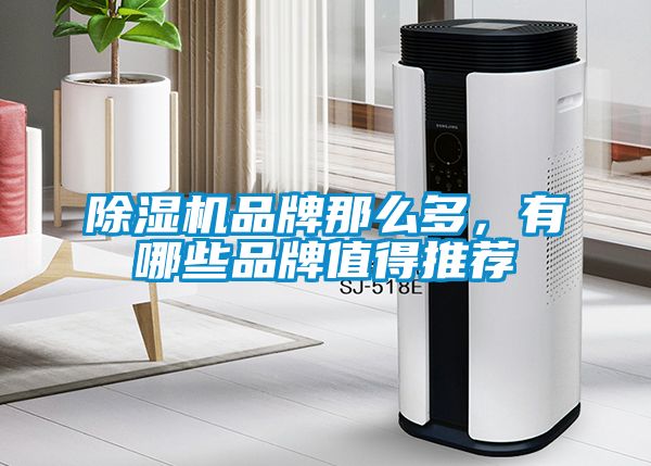除濕機品牌那么多，有哪些品牌值得推薦