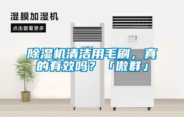 除濕機(jī)清潔用毛刷，真的有效嗎？「傲群」