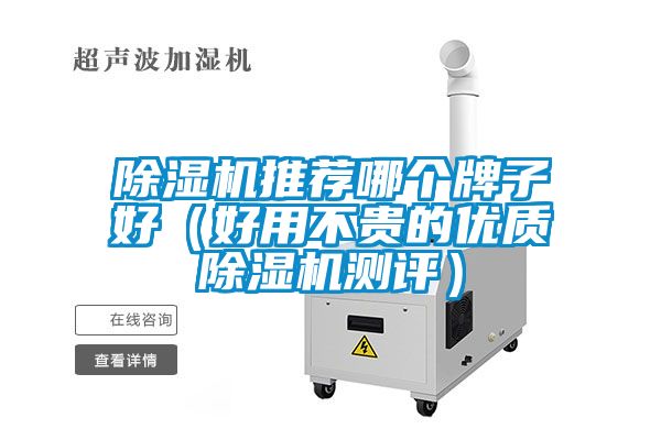 除濕機(jī)推薦哪個(gè)牌子好（好用不貴的優(yōu)質(zhì)除濕機(jī)測評(píng)）