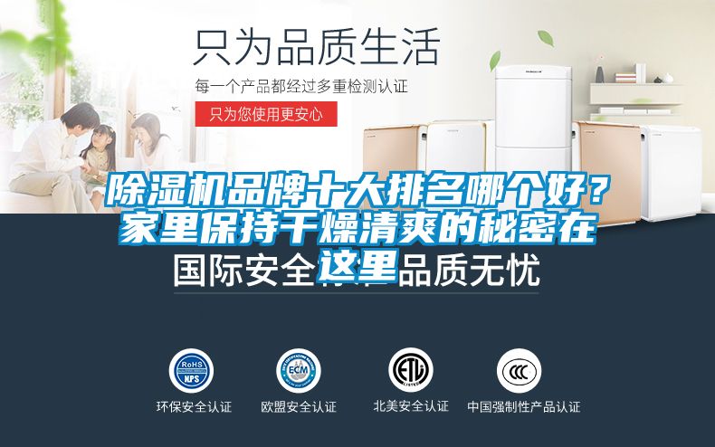 除濕機(jī)品牌十大排名哪個(gè)好？家里保持干燥清爽的秘密在這里