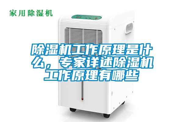 除濕機工作原理是什么，專家詳述除濕機工作原理有哪些