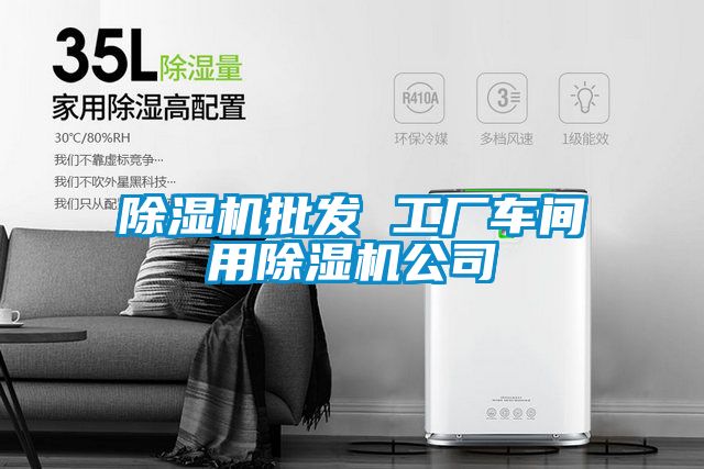 除濕機(jī)批發(fā) 工廠(chǎng)車(chē)間用除濕機(jī)公司