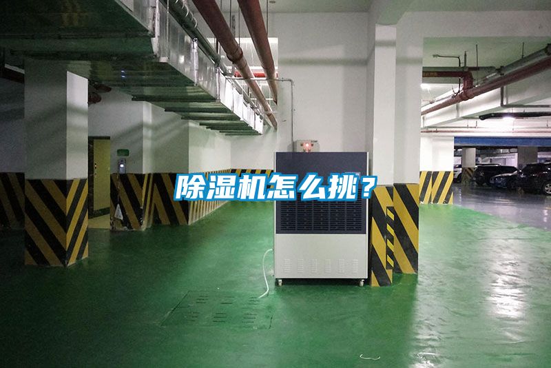 除濕機(jī)怎么挑？