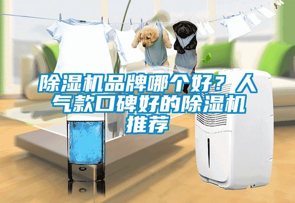 除濕機(jī)品牌哪個(gè)好？人氣款口碑好的除濕機(jī)推薦