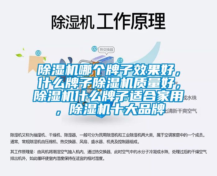 除濕機(jī)哪個(gè)牌子效果好，什么牌子除濕機(jī)質(zhì)量好，除濕機(jī)什么牌子適合家用，除濕機(jī)十大品牌