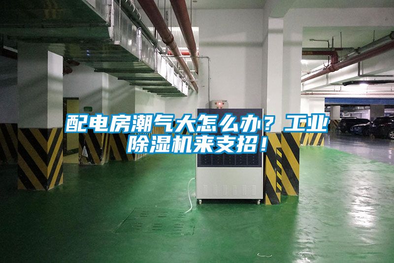 配電房潮氣大怎么辦？工業(yè)除濕機(jī)來支招！