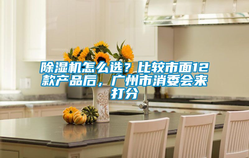 除濕機怎么選？比較市面12款產(chǎn)品后，廣州市消委會來打分
