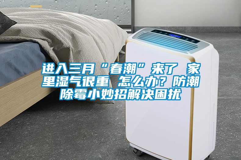 進(jìn)入三月“春潮”來(lái)了 家里濕氣很重 怎么辦？防潮除霉小妙招解決困擾