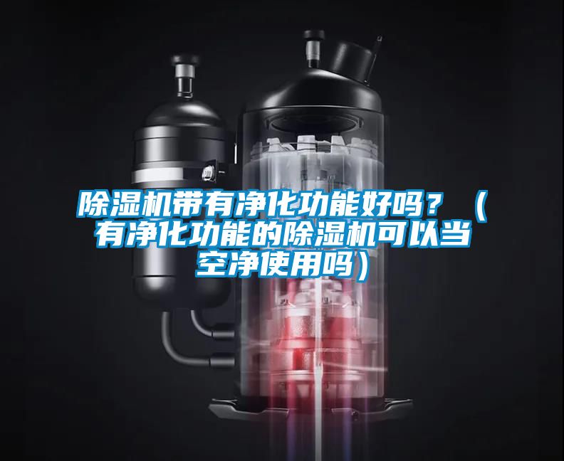 除濕機帶有凈化功能好嗎？（有凈化功能的除濕機可以當空凈使用嗎）