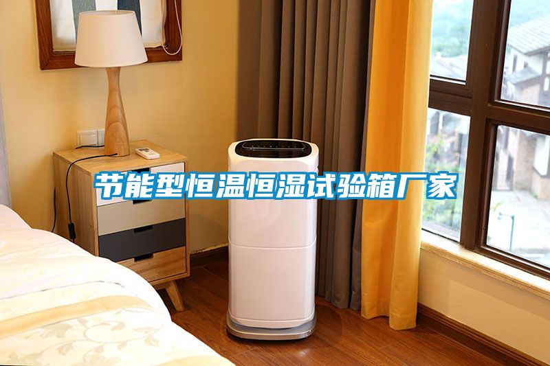 節(jié)能型恒溫恒濕試驗(yàn)箱廠(chǎng)家