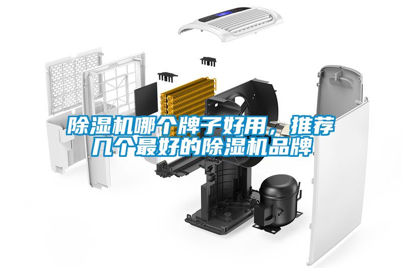 除濕機(jī)哪個牌子好用，推薦幾個最好的除濕機(jī)品牌