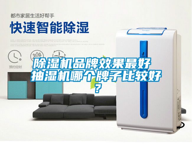 除濕機(jī)品牌效果最好 抽濕機(jī)哪個(gè)牌子比較好？