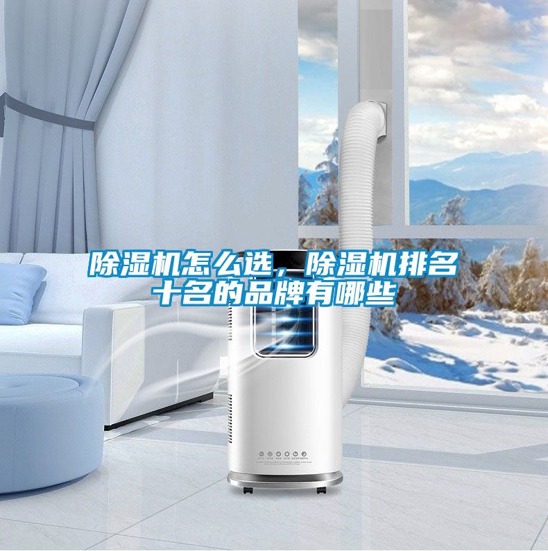 除濕機(jī)怎么選，除濕機(jī)排名十名的品牌有哪些