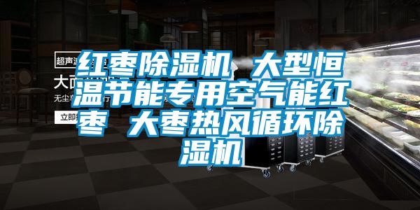 紅棗除濕機(jī) 大型恒溫節(jié)能專(zhuān)用空氣能紅棗 大棗熱風(fēng)循環(huán)除濕機(jī)