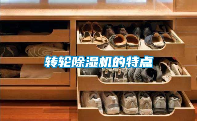 轉(zhuǎn)輪除濕機的特點