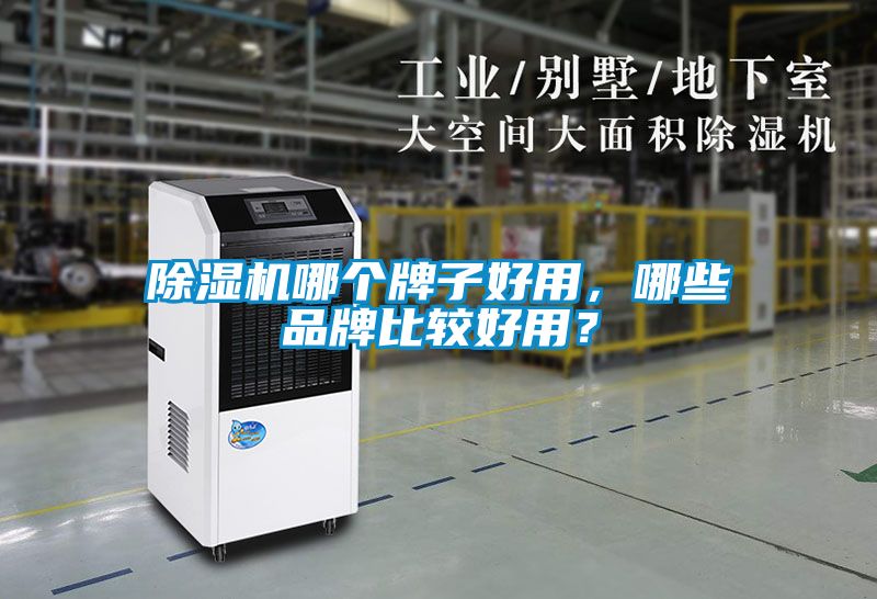 除濕機(jī)哪個牌子好用，哪些品牌比較好用？