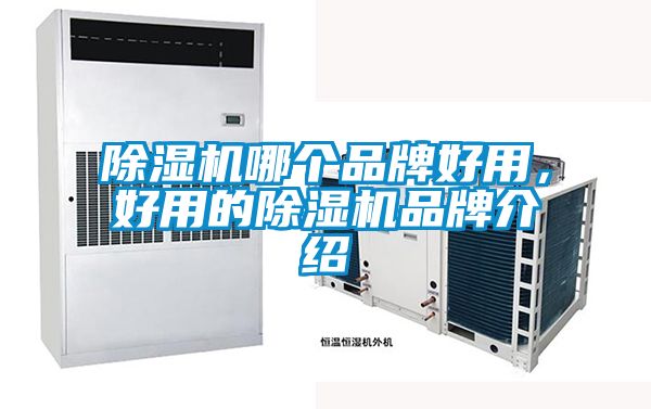 除濕機(jī)哪個(gè)品牌好用，好用的除濕機(jī)品牌介紹