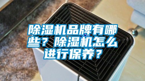 除濕機品牌有哪些？除濕機怎么進行保養(yǎng)？