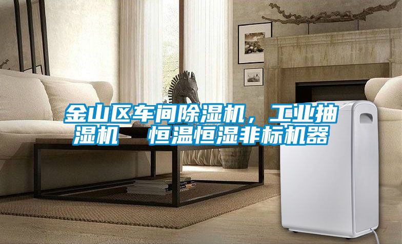 金山區(qū)車間除濕機，工業(yè)抽濕機  恒溫恒濕非標機器