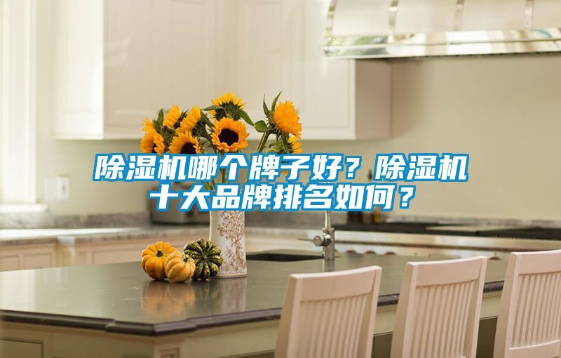 除濕機(jī)哪個(gè)牌子好？除濕機(jī)十大品牌排名如何？
