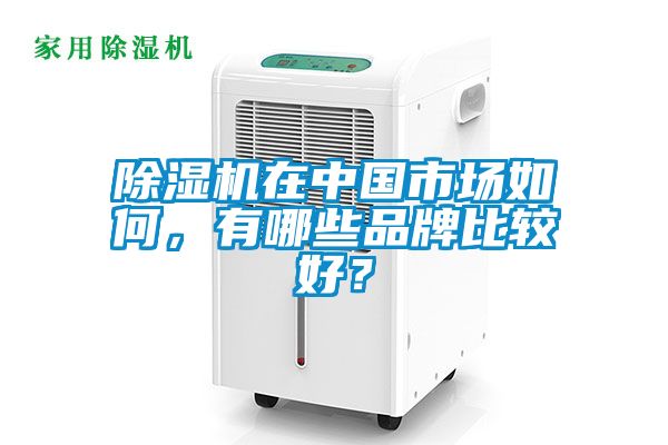 除濕機(jī)在中國(guó)市場(chǎng)如何，有哪些品牌比較好？